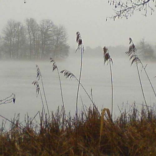 haussee im winter