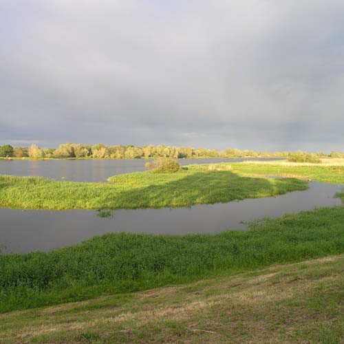 abendstimmung an der oder
